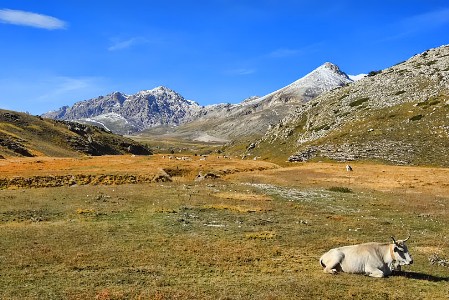 Campo Imperatore - AQ