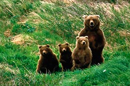 Parco Nazionale D'Abruzzo